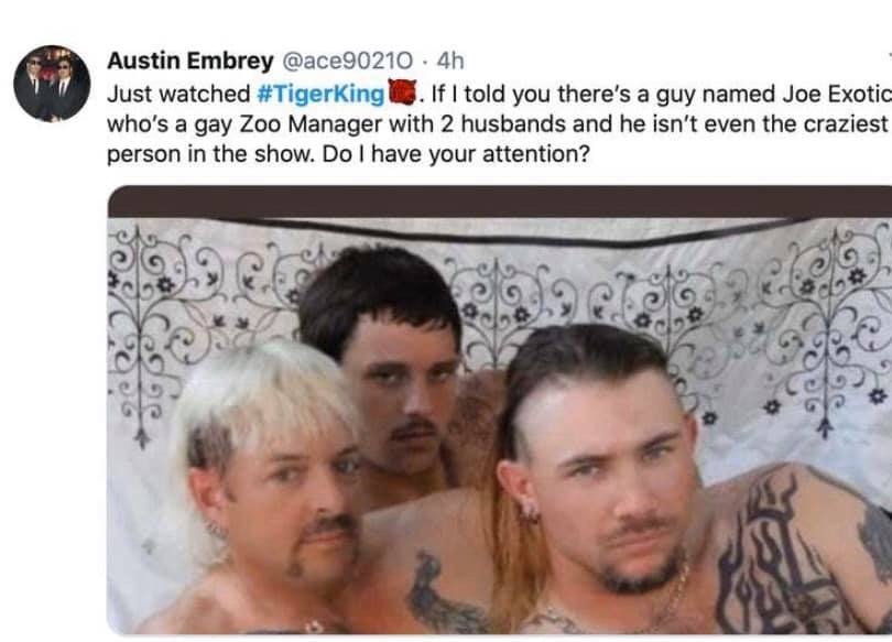 tiger-king-memes-head - Austin Embrey 4h Just watched . If I told you there's a guy named Joe Exotic who's a gay Zoo Manager with 2 husbands and he isn't even the craziest person in the show. Do I have your attention? Co.