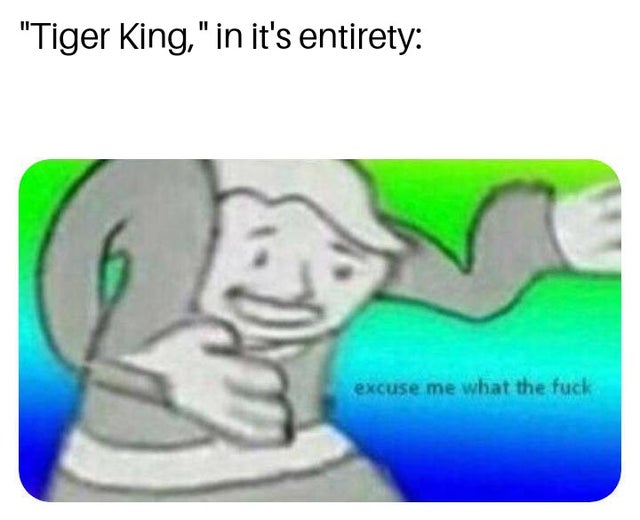 tiger-king-memes-excuse me wtf - "Tiger King," in it's entirety excuse me what the fuck