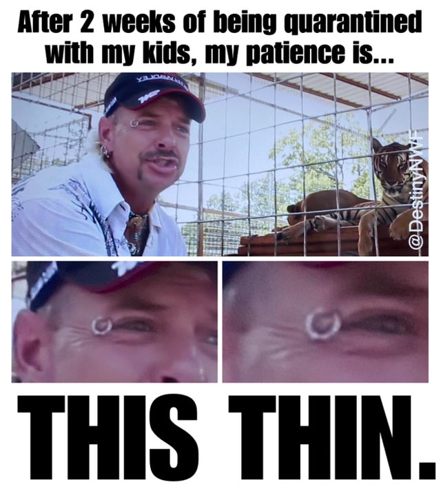tiger-king-memes-photo caption - After 2 weeks of being quarantined with my kids, my patience is... This Thin.