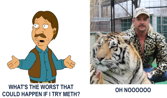 tiger-king-memes-tigers netflix - What'S The Worst That Could Happen If I Try Meth? Oh NOO0000