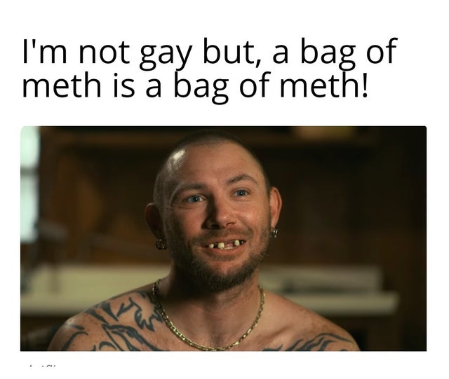tiger-king-memes-catalina marketing - I'm not gay but, a bag of meth is a bag of meth!