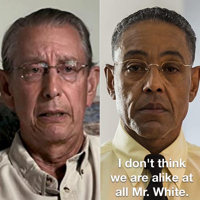 tiger-king-memes-head - I don't think we are a at all Mr. White.
