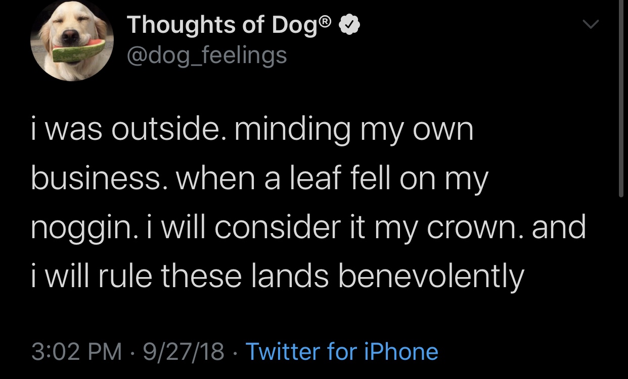 sunrise - Thoughts of Dog i was outside. minding my own business. when a leaf fell on my noggin. i will consider it my crown. and i will rule these lands benevolently 92718 Twitter for iPhone