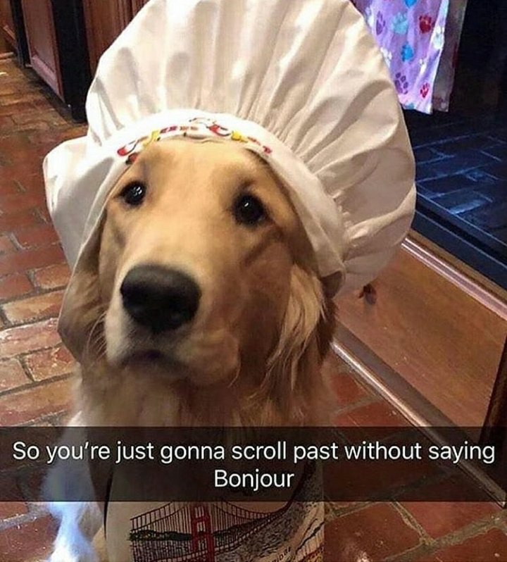 so you re just gonna scroll past without saying howdy - So you're just gonna scroll past without saying Bonjour