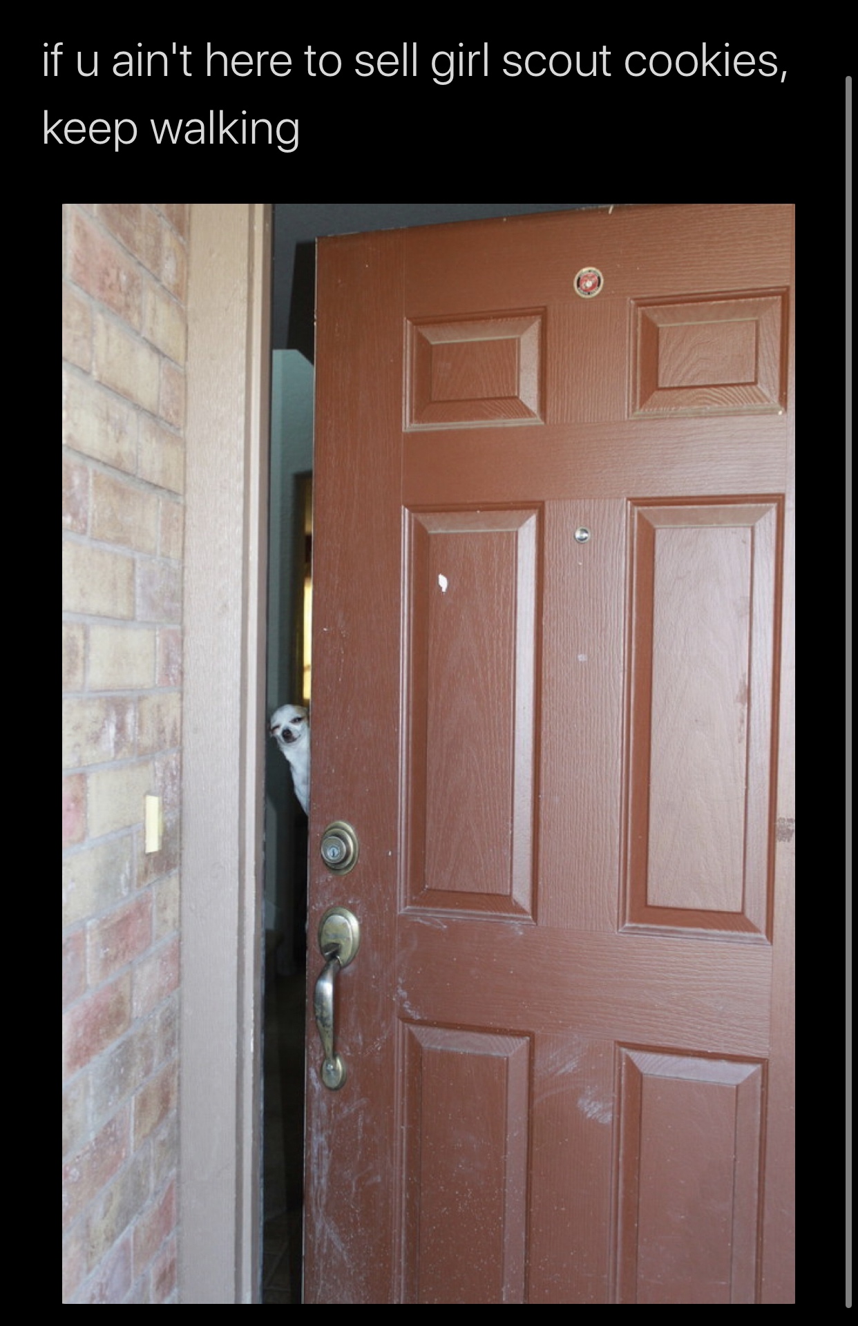 dog answering door meme - if u ain't here to sell girl scout cookies, keep walking