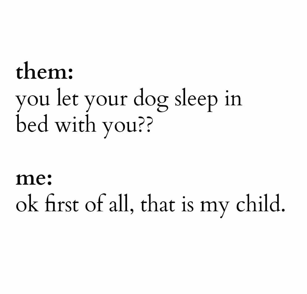 angle - them you let your dog sleep in bed with you?? me ok first of all, that is my child.