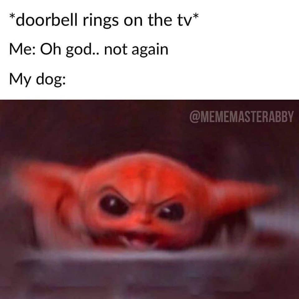 baby yoda dog meme doorbell - doorbell rings on the tv Me Oh god.. not again My dog