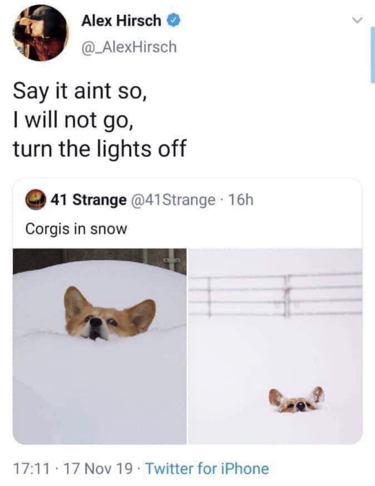 say it ain t so i will not go turn the lights off corgis in snow - Alex Hirsch Hirsch Say it aint so, I will not go, turn the lights off 41 Strange 16h Corgis in snow . 17 Nov 19 Twitter for iPhone