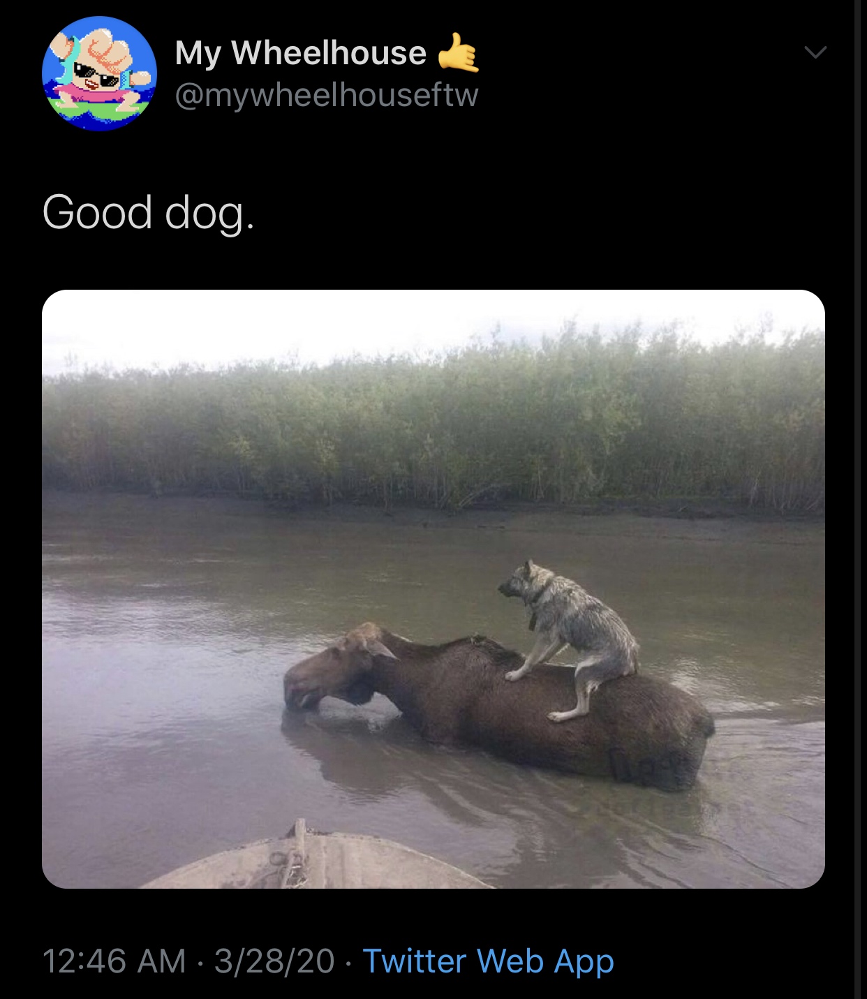 we ride at dawn meme - My Wheelhouse Good dog. 32820 Twitter Web App