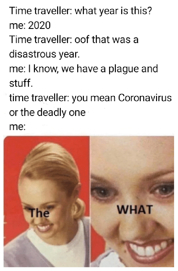 time traveler ten plagues - Time traveller what year is this? me 2020 Time traveller oof that was a disastrous year. me I know, we have a plague and stuff. time traveller you mean Coronavirus or the deadly one me The The What