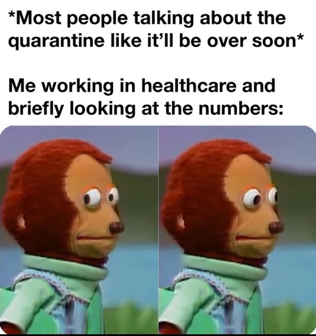 plagiarism programming meme - Most people talking about the quarantine it'll be over soon Me working in healthcare and briefly looking at the numbers