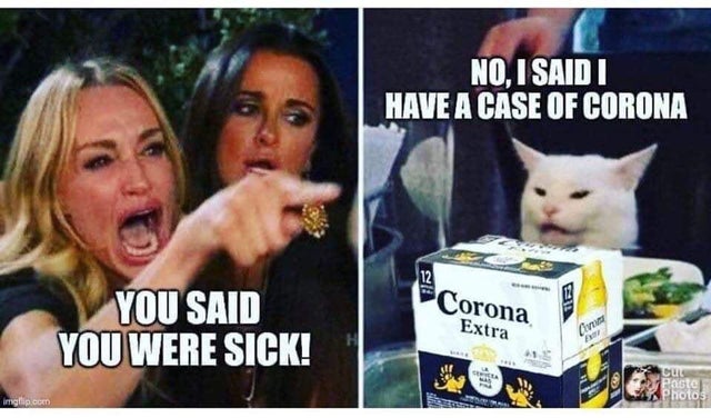 coronavirus cat meme - No, I Saidi Have A Case Of Corona You Said You Were Sick! Corona Extra Pastel imgp.cc