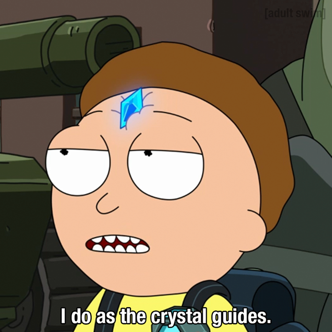meme template - zoom background - do as the crystal guides morty - adults I do as the crystal guides.