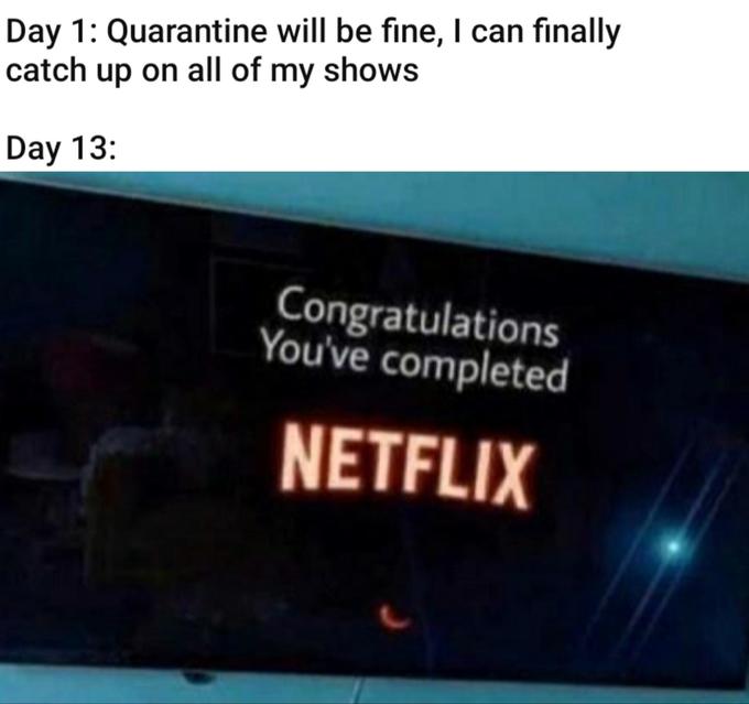 netflix - Day 1 Quarantine will be fine, I can finally catch up on all of my shows Day 13 Congratulations You've completed Netflix