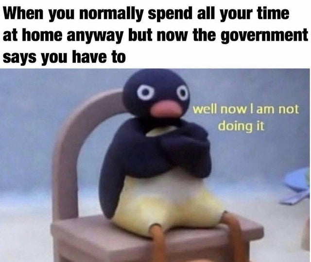 quarantine memes - When you normally spend all your time at home anyway but now the government says you have to well now I am not doing it