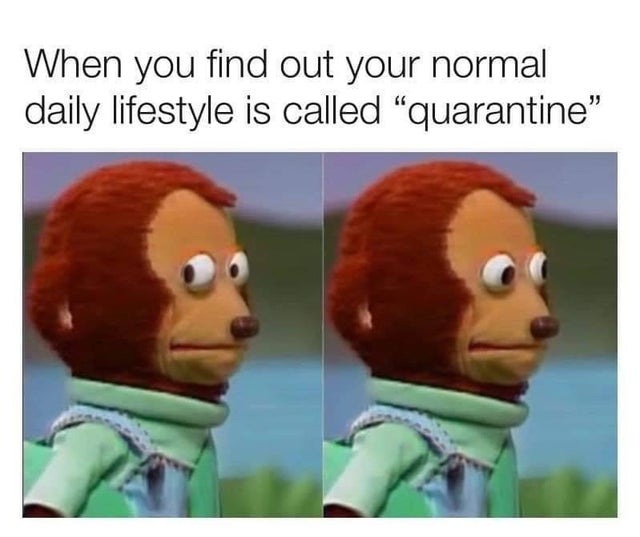 you find out your normal lifestyle - When you find out your normal daily lifestyle is called quarantine"