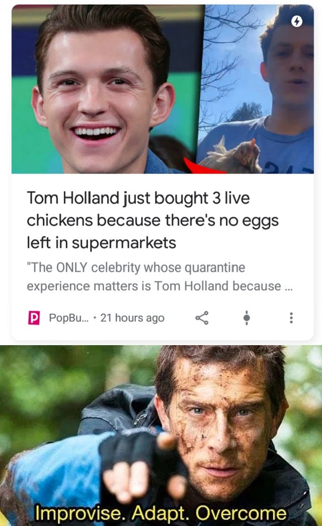 improvise adapt overcome meme - Wende Tom Holland just bought 3 live chickens because there's no eggs left in supermarkets "The Only celebrity whose quarantine experience matters is Tom Holland because .. P PopBu... 21 hours ago Improvise. Adapt. Overcome