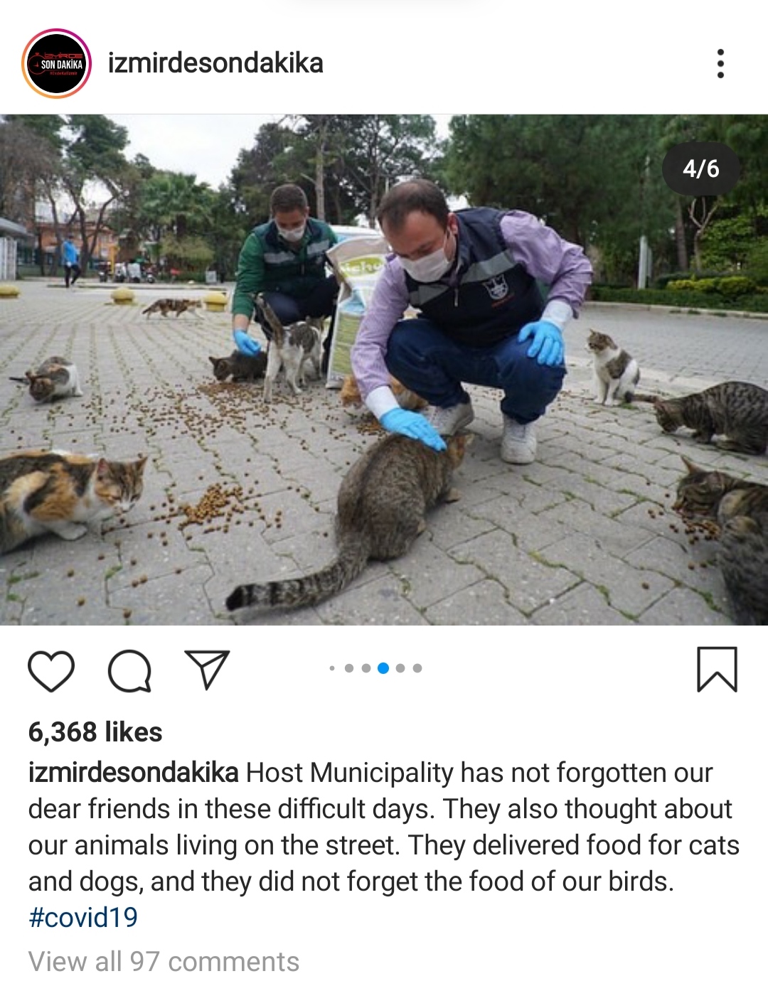tree - izmirdesondakika 46 Qy ... > 6,368 izmirdesondakika Host Municipality has not forgotten our dear friends in these difficult days. They also thought about our animals living on the street. They delivered food for cats and dogs, and they did not forg