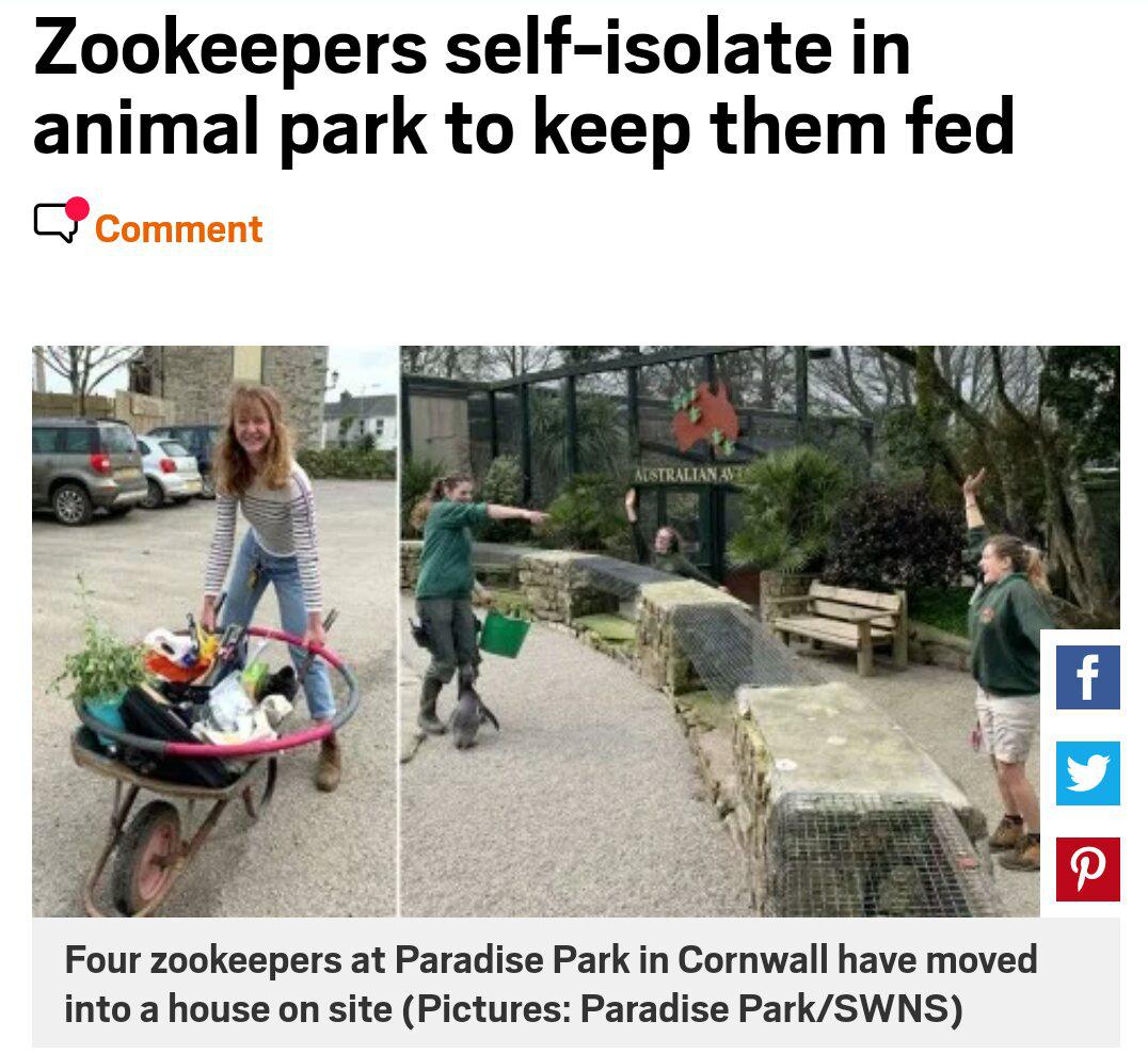 tree - Zookeepers selfisolate in animal park to keep them fed Comment Atstralian Sy Four Zookeepers at Paradise Park in Cornwall have moved into a house on site Pictures Paradise ParkSwns