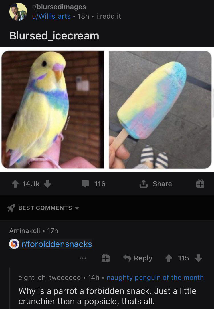 reddit - picture of parakeet next to ice cream bar of similar colors - Why is a parrot a forbidden snack. Just a little crunchier than a popsicle
