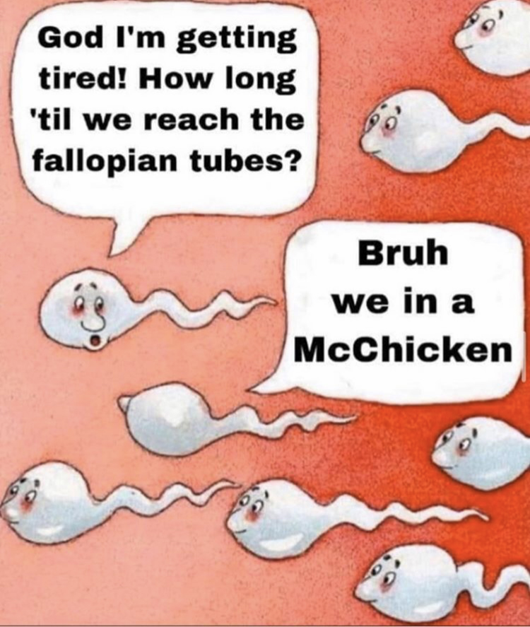 cartoon of sperm travelling - God I'm getting tired! How long 'til we reach the fallopian tubes? - Bruh we in a McChicken