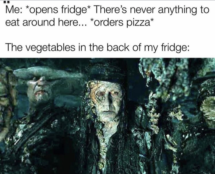 skarsgård pirates of the caribbean - Me: opens fridge There's never anything to eat around here... orders pizza - The vegetables in the back of my fridge