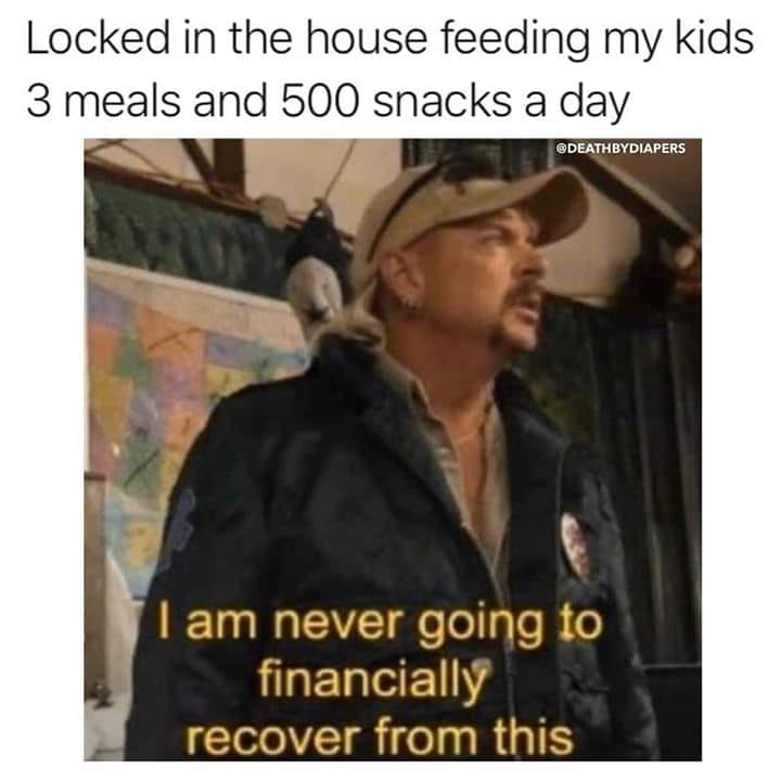 Joe Exotic 'I'm Never Going to Financially Recover From This' Memes That Hit Home