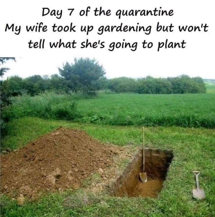 digging graves - Day 7 of the quarantine My wife took up gardening but won't tell what she's going to plant