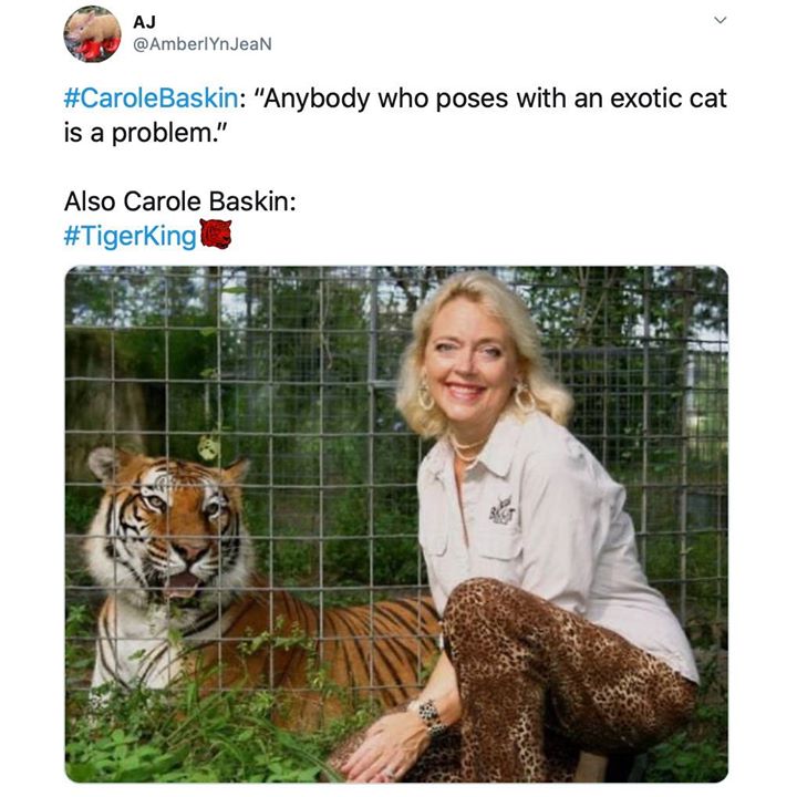 carole baskin - Aj "Anybody who poses with an exotic cat is a problem." Also Carole Baskin