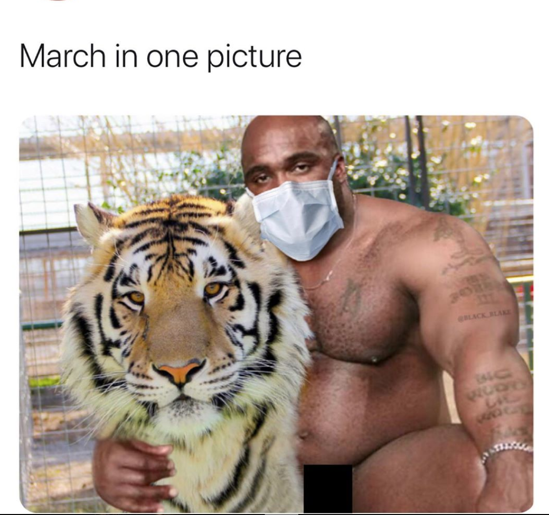 tiger king - March in one picture versione.