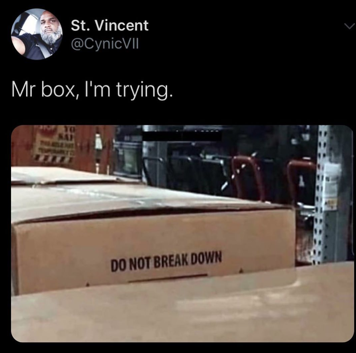 do not break down box meme - St. Vincent Mr box, I'm trying. Do Not Break Down