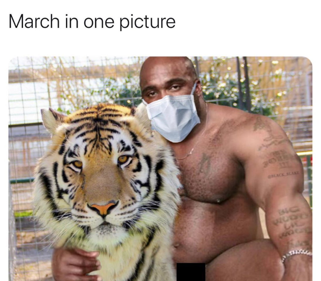 tiger king - tiger king - March in one picture