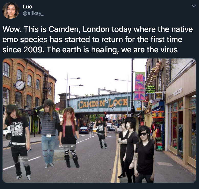 Wow. This is Camden, London today where the native emo species has started to return for the first time since 2009. The earth is healing, we are the virus