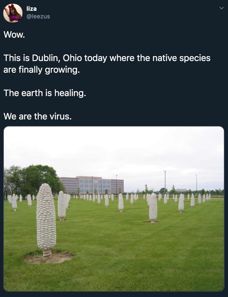 Wow. This is Dublin, Ohio today where the native species are finally growing. The earth is healing. We are the virus.