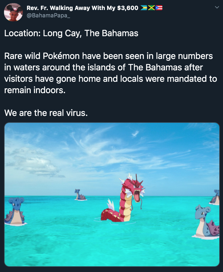 Location: Long Cay, The Bahamas Rare wild Pokmon have been seen in large numbers in waters around the islands of The Bahamas after visitors have gone home and locals were mandated to remain indoors. We are the real virus