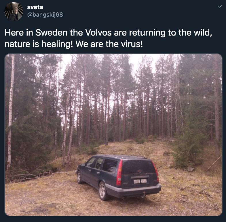 Here in Sweden the Volvos are returning to the wild, nature is healing! We are the virus!