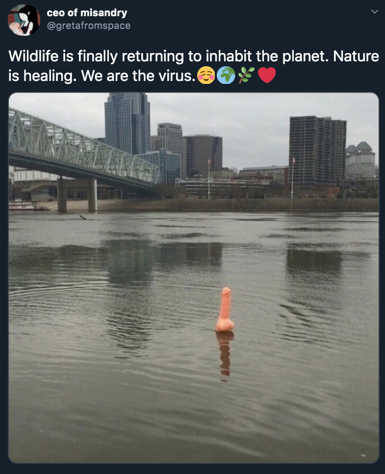 ohio river penis - Wildlife is finally returning to inhabit the planet. Nature is healing. We are the virus.