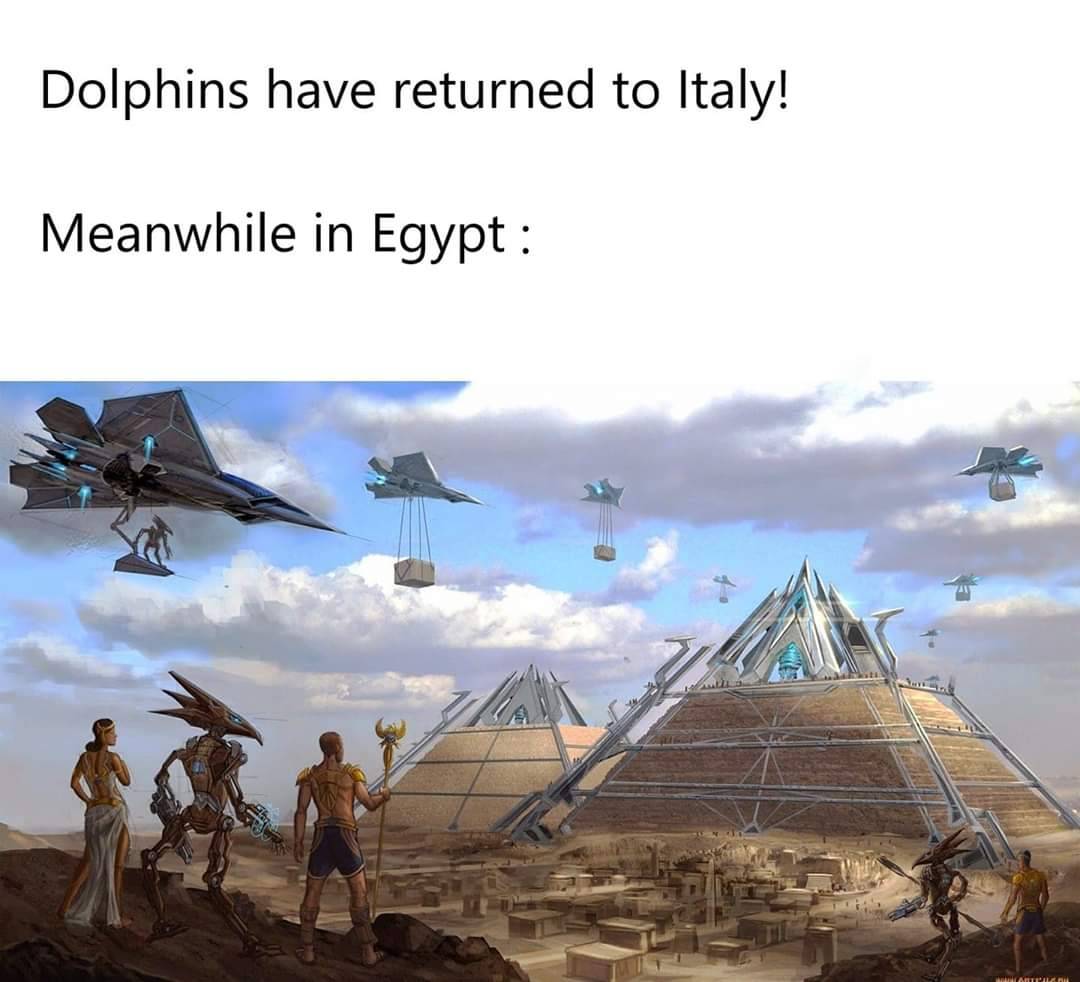 Dolphins have returned to Italy! Meanwhile in Egypt