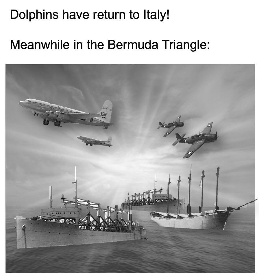 Dolphins have return to Italy! Meanwhile in the Bermuda Triangle