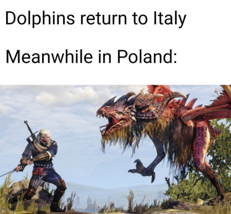 witcher 3 monsters - Dolphins return to Italy Meanwhile in Poland