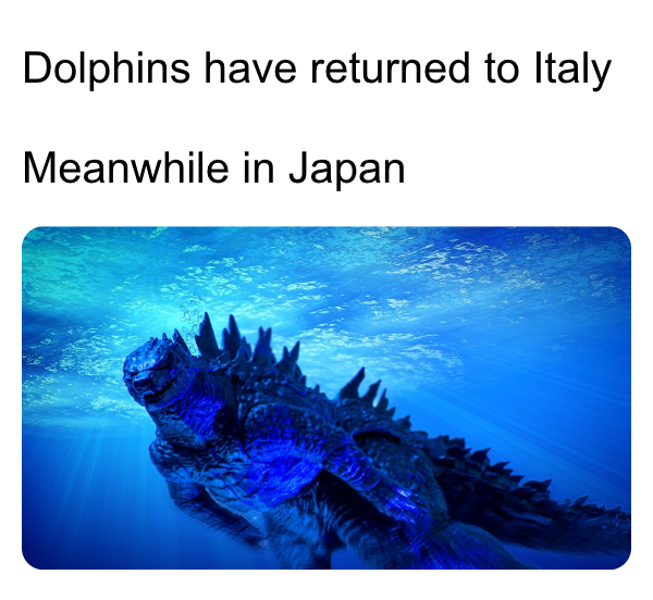 Dolphins have returned to Italy Meanwhile in Japan godzilla