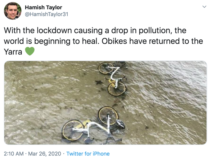 With the lockdown causing a drop in pollution, the world is beginning to heal. Obikes have returned to the Yarra