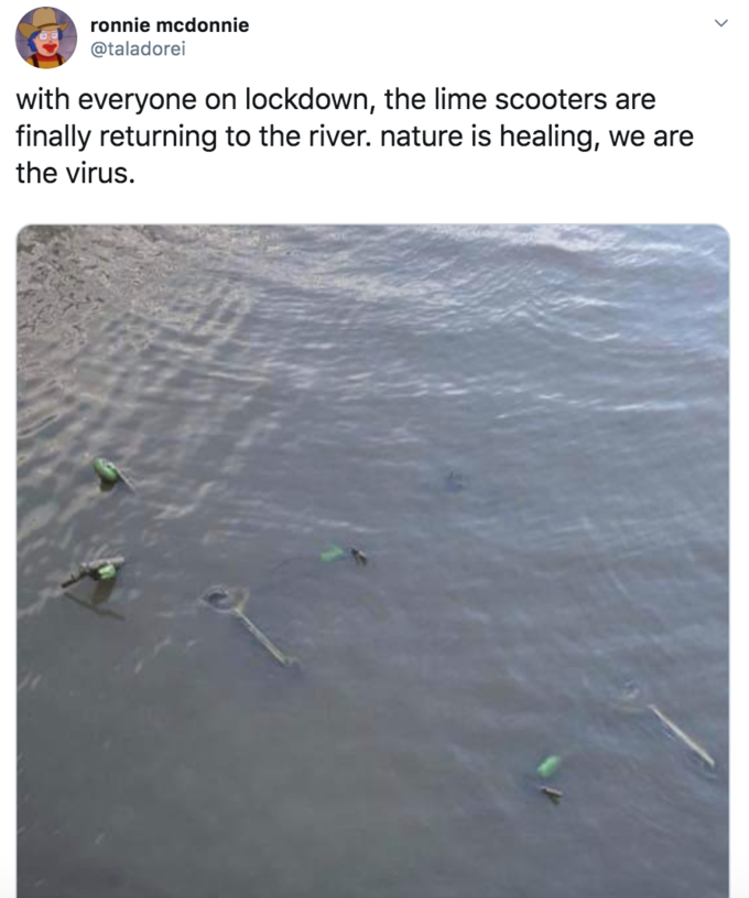 with everyone on lockdown, the lime scooters are finally returning to the river. nature is healing, we are the virus.