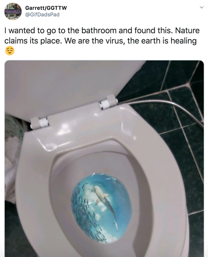 toilet seat - I wanted to go to the bathroom and found this. Nature claims its place. We are the virus, the earth is healing
