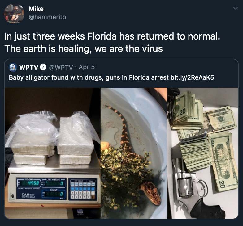 In just three weeks Florida has returned normal. The earth is healing, we are the virus