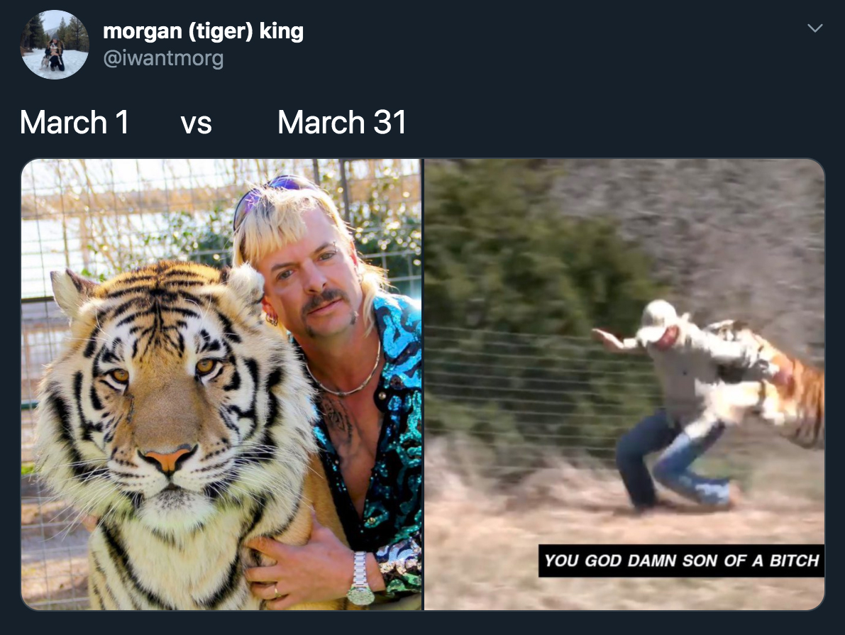 tiger king joe exotic - March 1 Vs March 31 - You God Damn Son Of A Bitch