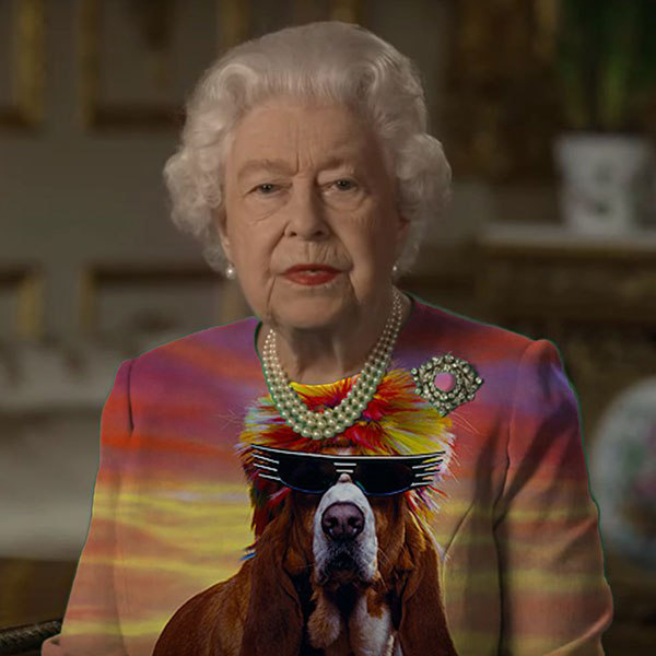 queen of england - cool dog in sunglasses