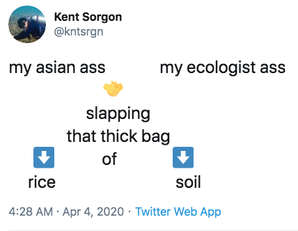 slapping bags of soil - slapping that thick bag of soil rice