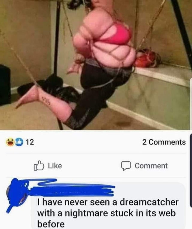 nightmare in a dream catcher meme - D 12 2 Comment I have never seen a dreamcatcher with a nightmare stuck in its web before