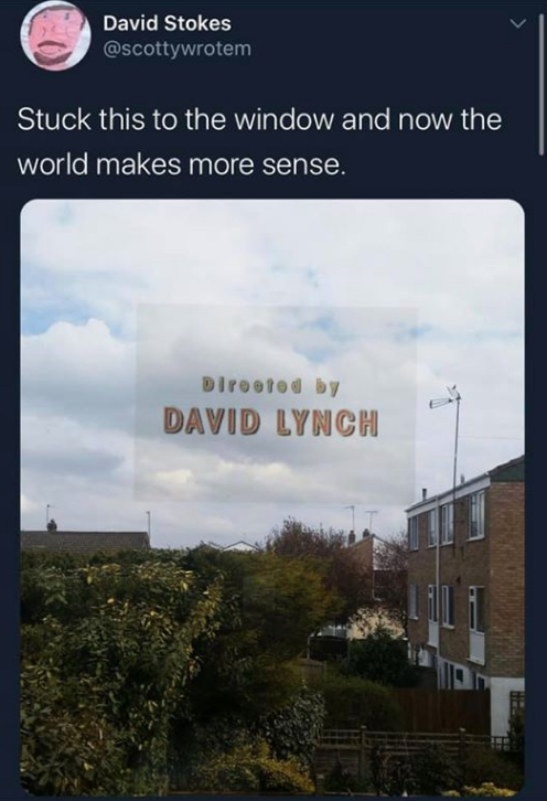 meme - Chill Quarantine - David Stokes Stuck this to the window and now the world makes more sense. Directed by David Lynch
